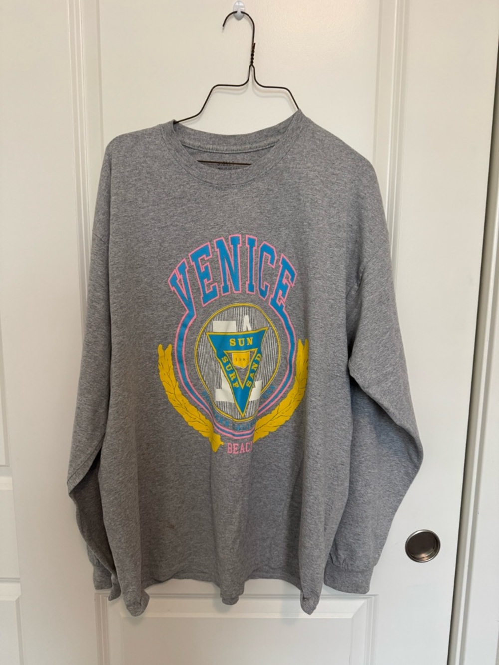 Brandy Melville Gray Venice Graphic Long Sleeve Tee